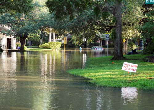 Flood Damage Removal