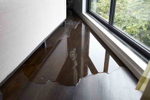 Sewage Cleanup Services