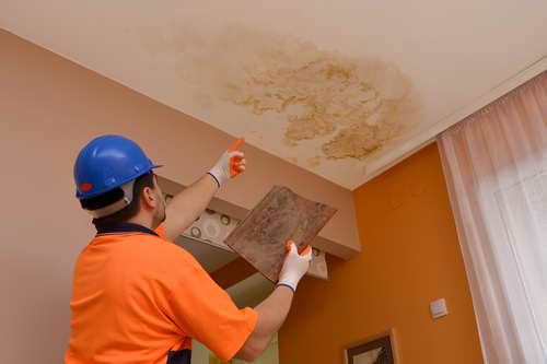 Mold Remediation