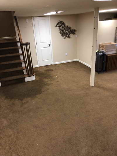 Sewage Overflow Cleanup