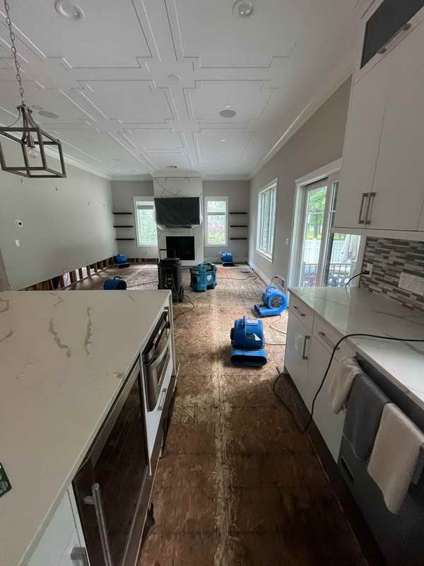 Mold Abatement Services